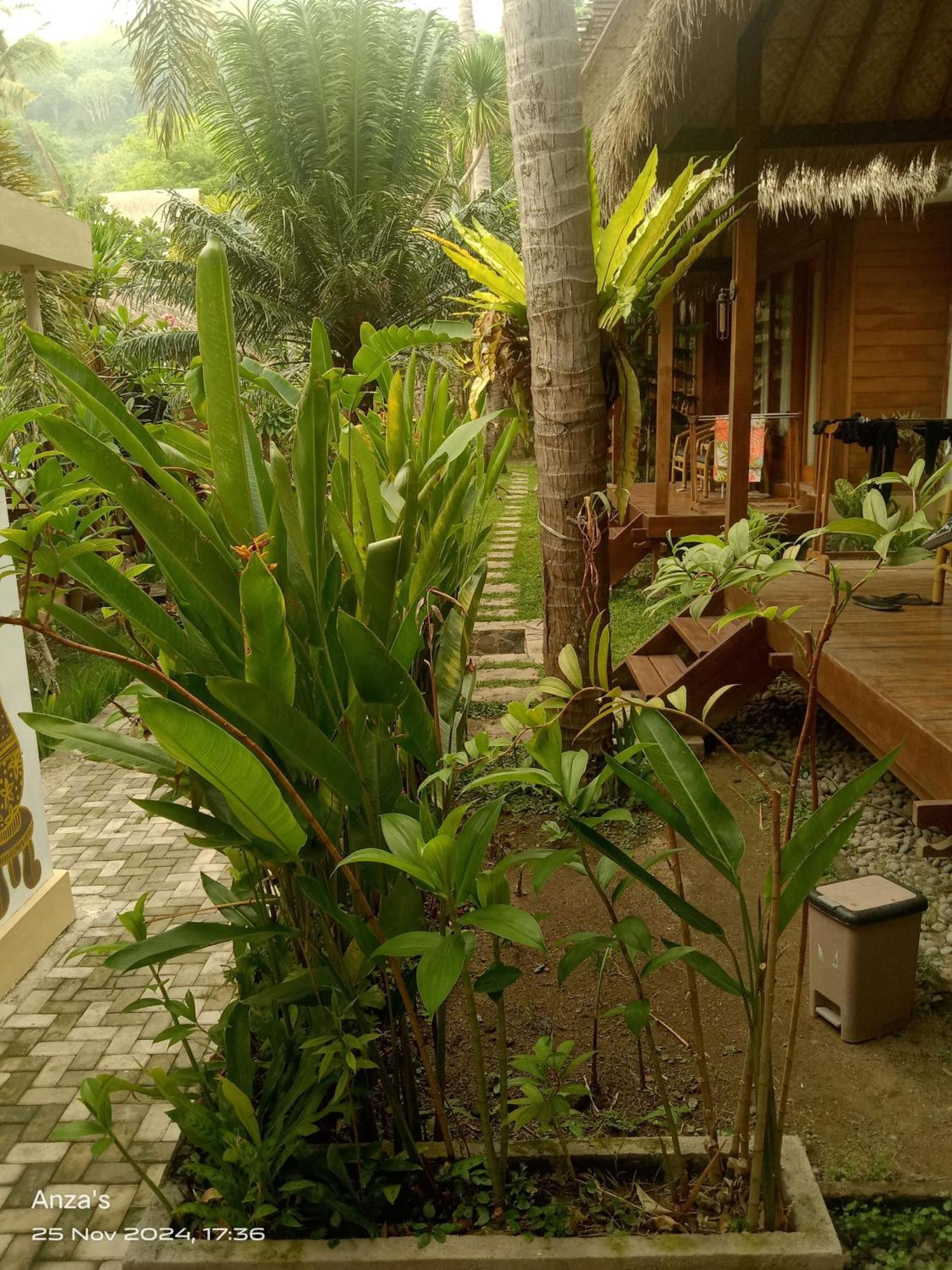 Village Vibes Lombok Kuta  Dış mekan fotoğraf